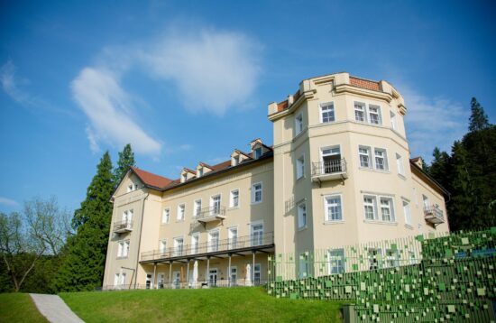 HOTEL RIMSKI DVOR 4*S, RIMSKE TERME